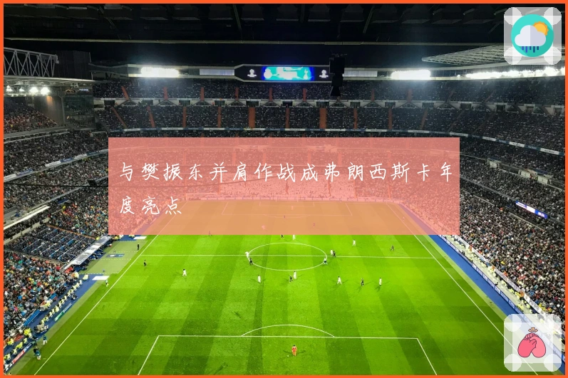 与樊振东并肩作战成弗朗西斯卡年度亮点