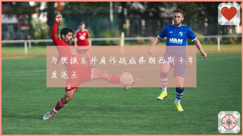 与樊振东并肩作战成弗朗西斯卡年度亮点